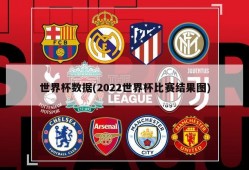 世界杯数据(2022世界杯比赛结果图)