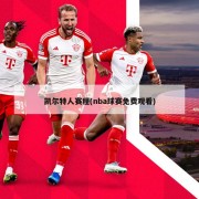 凯尔特人赛程(nba球赛免费观看)
