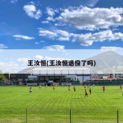 王汝恒(王汝恒退役了吗)