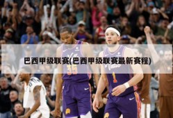 巴西甲级联赛(巴西甲级联赛最新赛程)