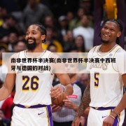南非世界杯半决赛(南非世界杯半决赛中西班牙与德国的对战)