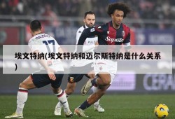 埃文特纳(埃文特纳和迈尔斯特纳是什么关系)