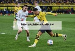 灰熊vs热火(灰熊vs热火 4月4日nba)