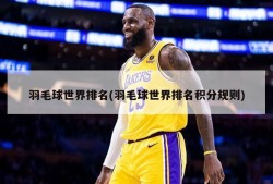 羽毛球世界排名(羽毛球世界排名积分规则)