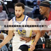 路易斯威廉姆斯(路易斯威廉姆斯去哪了)