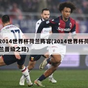 2014世界杯荷兰阵容(2014世界杯荷兰晋级之路)
