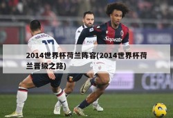 2014世界杯荷兰阵容(2014世界杯荷兰晋级之路)