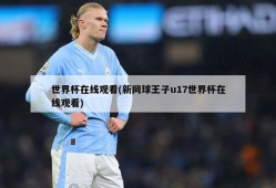 世界杯在线观看(新网球王子u17世界杯在线观看)
