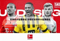 世界杯小组赛排名(卡塔尔世界杯小组赛排名)