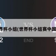 世界杯小组(世界杯小组赛中国队)