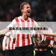 菜头羽毛球网(羽毛球头条)