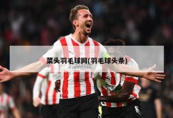 菜头羽毛球网(羽毛球头条)