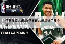 伊布加盟ac米兰(伊布在ac米兰进了几个球)