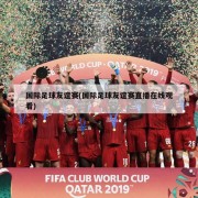 国际足球友谊赛(国际足球友谊赛直播在线观看)
