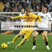 文班亚马(文班亚马合同)