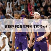 普拉姆利(普拉姆利球衣号码)