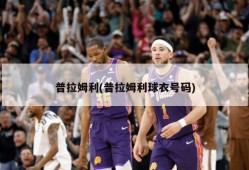 普拉姆利(普拉姆利球衣号码)