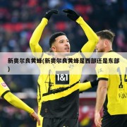 新奥尔良黄蜂(新奥尔良黄蜂是西部还是东部)