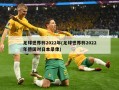 足球世界杯2022年(足球世界杯2022年德国对日本录像)