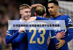 足球直播网站(足球直播比赛平台免费观看)
