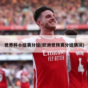 世界杯小组赛分组(欧洲世预赛分组情况)