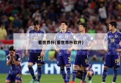 看世界杯(看世界杯软件)