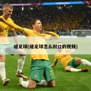 缝足球(缝足球怎么封口的视频)