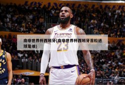 南非世界杯西班牙(南非世界杯西班牙首粒进球是谁)