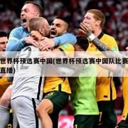 世界杯预选赛中国(世界杯预选赛中国队比赛直播)