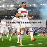 李永波羽毛球拍(李永波羽毛球拍5030多少钱)