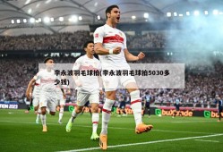 李永波羽毛球拍(李永波羽毛球拍5030多少钱)