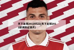天下足球20120521(天下足球2012欧洲杯纪录片)