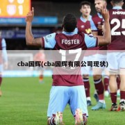 cba国辉(cba国辉有限公司现状)