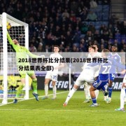2018世界杯比分结果(2018世界杯比分结果表全部)