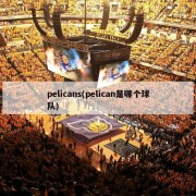 pelicans(pelican是哪个球队)