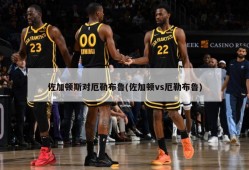 佐加顿斯对厄勒布鲁(佐加顿vs厄勒布鲁)