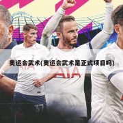 奥运会武术(奥运会武术是正式项目吗)