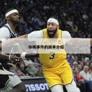 孙杨事件的简单介绍