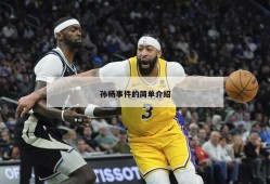 孙杨事件的简单介绍