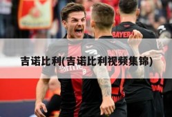吉诺比利(吉诺比利视频集锦)
