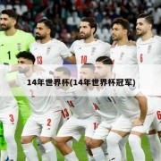 14年世界杯(14年世界杯冠军)