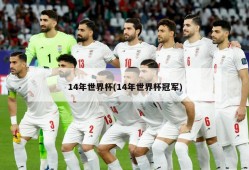 14年世界杯(14年世界杯冠军)