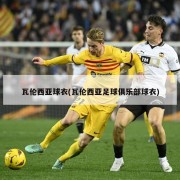 瓦伦西亚球衣(瓦伦西亚足球俱乐部球衣)