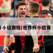 世界杯小组赛程(世界杯小组赛 2022)