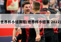 世界杯小组赛程(世界杯小组赛 2022)