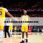新奥尔良鹈鹕(新奥尔良鹈鹕队微博)