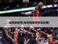 哈利洛维奇(哈利洛维奇现在在哪)
