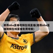 雨燕nba直播视频在线直播(雨燕nba直播视频在线直播免费观看)