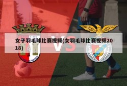 女子羽毛球比赛视频(女羽毛球比赛视频2018)