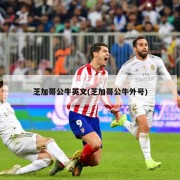 芝加哥公牛英文(芝加哥公牛外号)